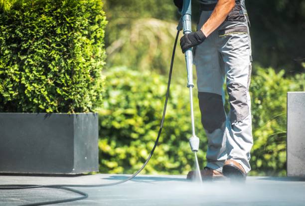 Best Fence Cleaning  in Burke, VA